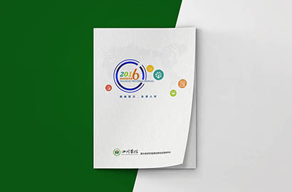 红寺堡区画册设计：以场景为媒，打造城市体验的全新入口